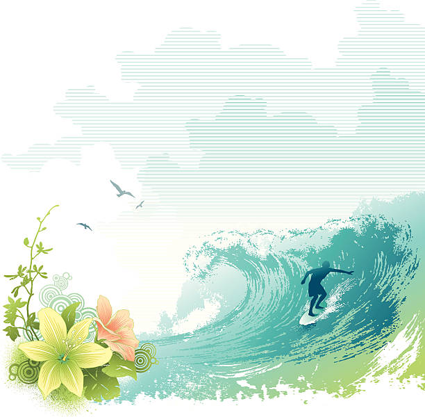illustrations, cliparts, dessins animés et icônes de surfeur - surfing men hawaii islands wave