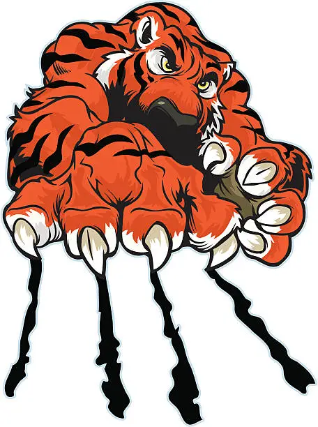 Vector illustration of Tiger Claw