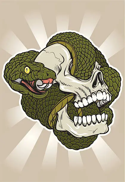 Vector illustration of Snake Skull