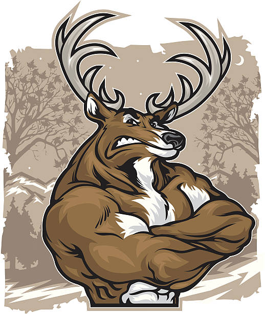 illustrazioni stock, clip art, cartoni animati e icone di tendenza di deer incrociate - muscolo animale