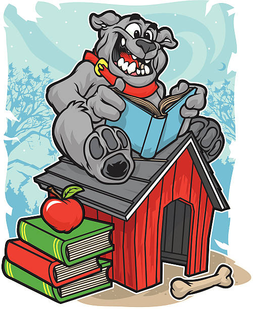 Bulldog Reading Stock Illustration - Download Image Now - Reading, Bulldog,  Book - iStock