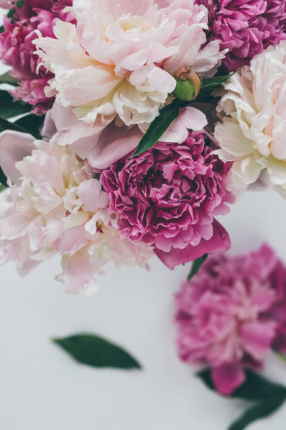 istock top view of light pink peony bouquet on white 983474564