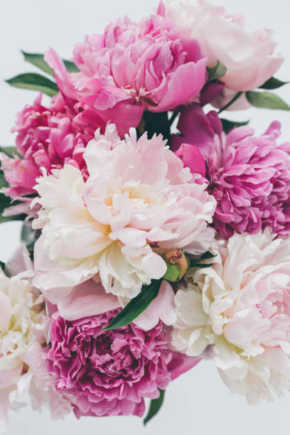 istock top view of beautiful pink peony bouquet on white 983474820