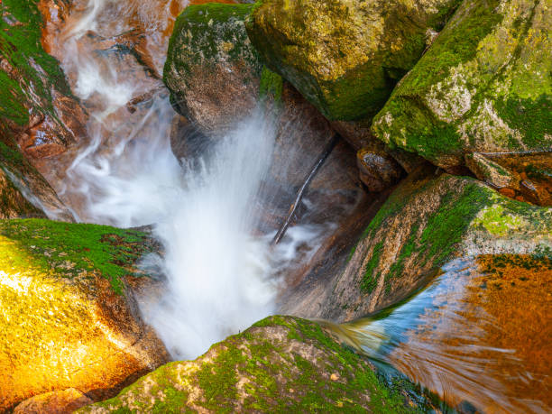 istock Water cascade of small creek between mossy stones. Long exposure 983474848
