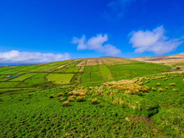 istock Beautiful nature and greens at Dingle Peninsula Ireland 983475366