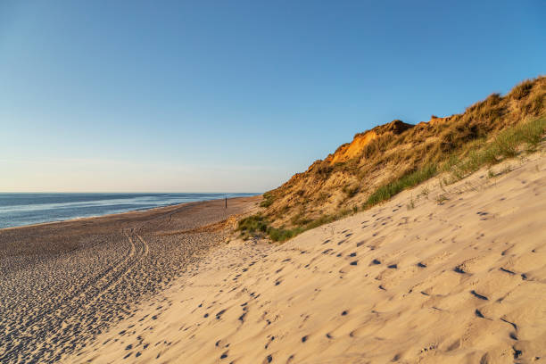 istock View from Red Cliff Dunes to Kampen Beach at Sylt / Germany 983486562