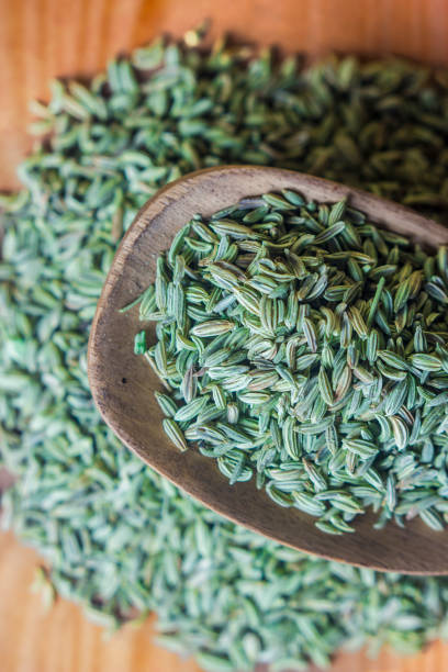 istock Raw organic fennel Seed 983493284