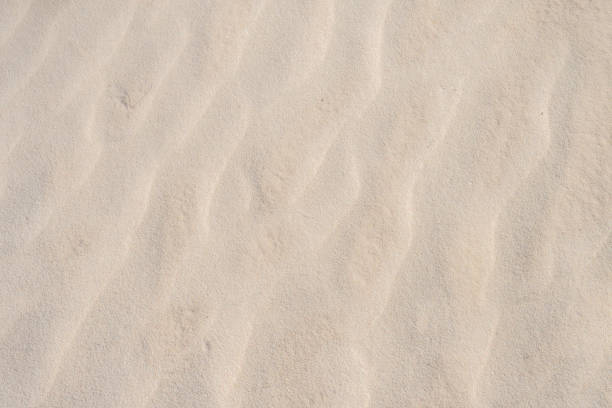 istock White Sand Beach, Bahamas 983517958