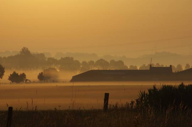 istock Misty sunrise ober the country 983521214