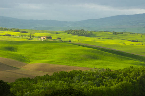 istock sunrise in Tuscany in Val di Orcia 983577518