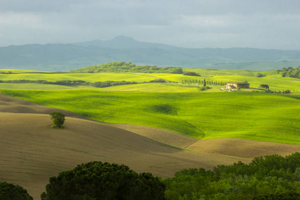 istock sunrise in Tuscany in Val di Orcia 983577522