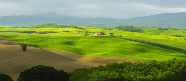 istock sunrise in Tuscany in Val di Orcia 983577712