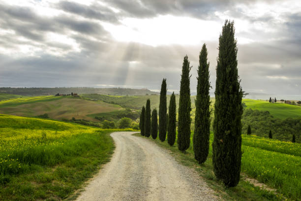 istock sunrise in Tuscany in Val di Orcia 983582034