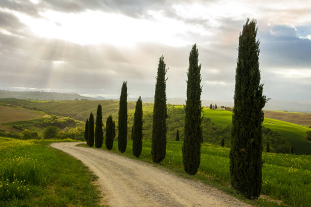 istock sunrise in Tuscany in Val di Orcia 983582068