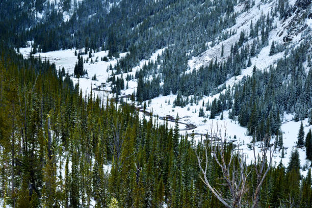 istock Wallowa Wittman National Forest 983588156