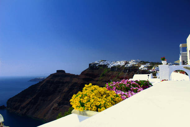 istock Colourful flowers and the blue sky 983588798