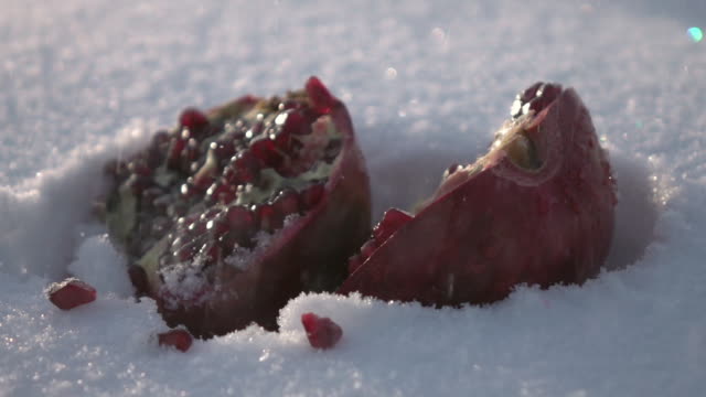Single fresh red split pomegranate, lying deep in snowdrift under snowfall in low sun.