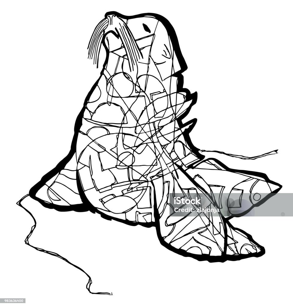 Seal animal Seal illustration for coloring page Animal stock vector