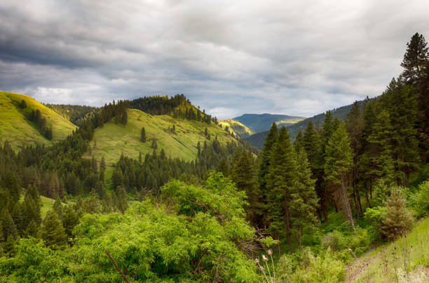 istock Mountains covered with trees and bushes 983641470