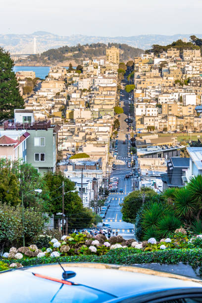 クルックド ロンバード ストリート (垂直) を運転 - lombard street city urban scene city life ストックフォトと画像