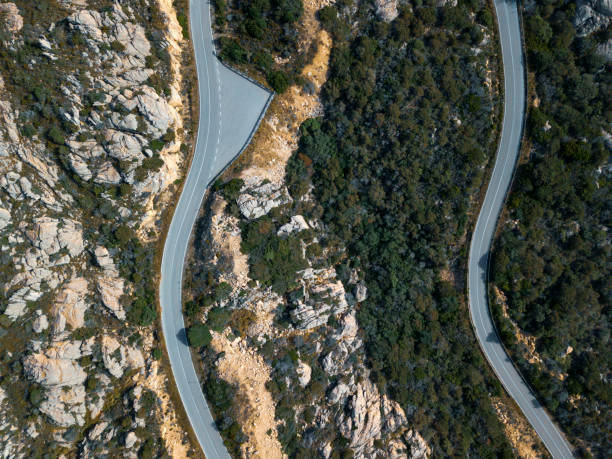 istock Symmetry in the Nature 983649004