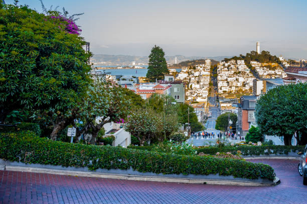 lombard street y north beach - tower coit tower san francisco bay area san francisco county fotografías e imágenes de stock