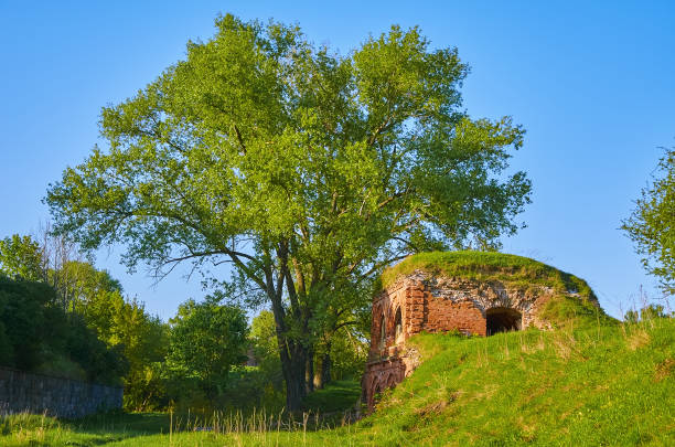 Rural house with green door in Parkhomivka, Kyiv oblast, Ukraine