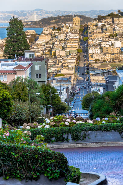 istock Lombard Street and North Beach (Vertical) 983658530
