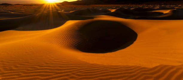 istock Early Morning at Mesquite Flats Sand Dunes 983659480