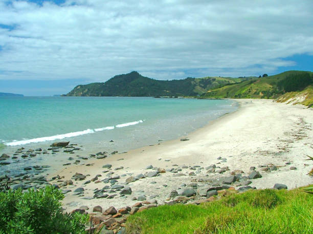 istock Empty beach on New Zealand's North Island 983668178