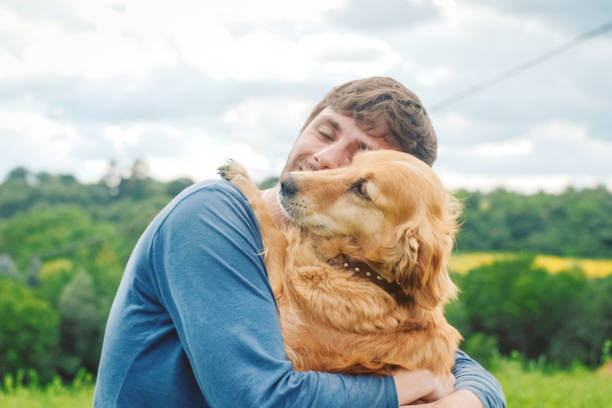 istock Guy and his dog, golden retriever, nature 983676358