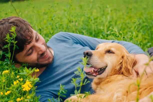 istock Guy and his dog, golden retriever, nature 983678846