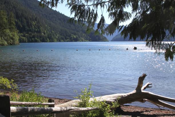 istock Lake Crescent Swimming Area 983683318