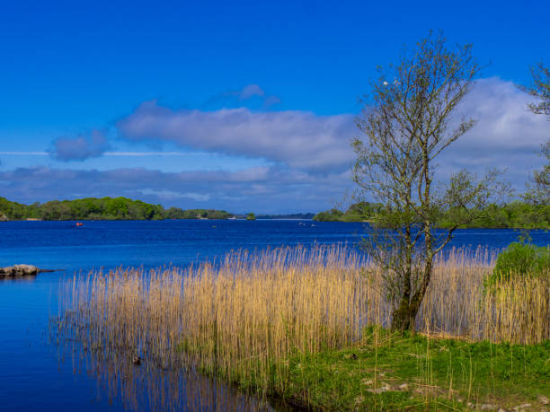 istock Awesome nature and blue water at Killarney National Park in Dingle 983683476