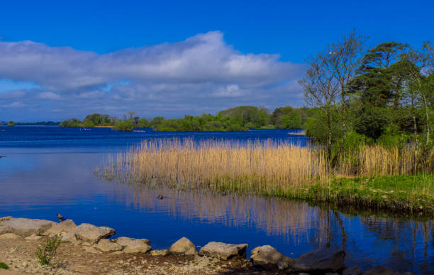 istock Awesome nature and blue water at Killarney National Park in Dingle 983686042