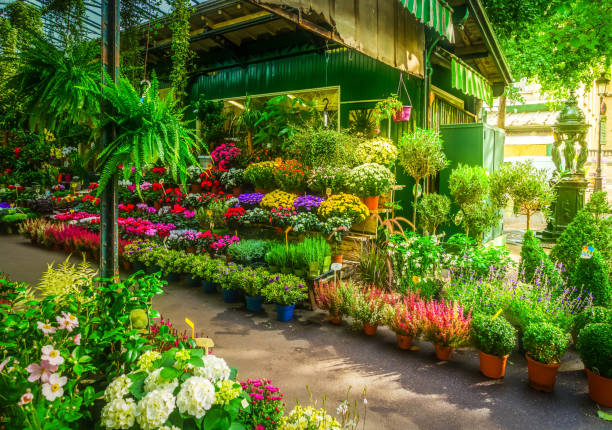 istock Paris flower market 983693610