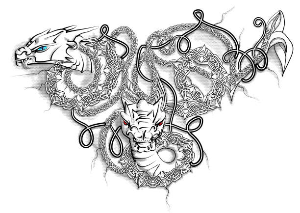 Celtic Double Dragon Celtic Double Dragon isolated on white celtic dragon tattoo stock illustrations