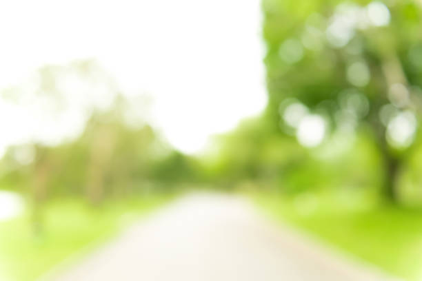 istock Beautiful abstract natural green blur background with white bokeh 983707032