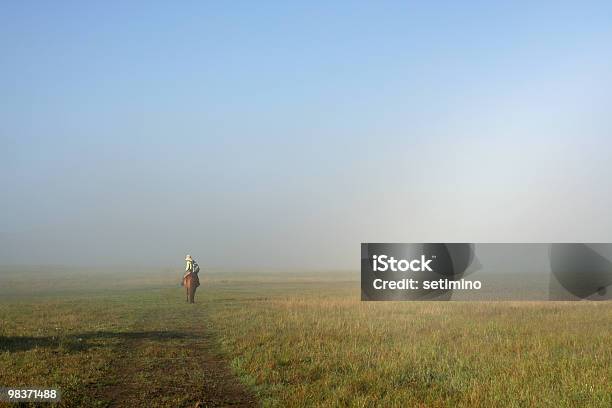 Niebla Meadow Foto de stock y más banco de imágenes de Mongolia Interior - Mongolia Interior, Caballo - Familia del caballo, Equitación