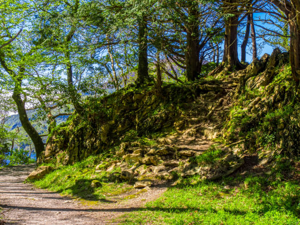 istock Killarney National Park - a beautiful place in Ireland 983739764