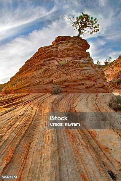 Rock Und Baum Stockfoto und mehr Bilder von Formular - Dokument - Formular - Dokument, Hochplateau, Baum