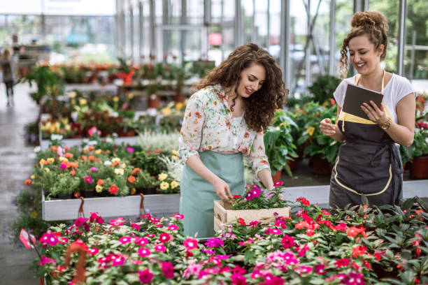 istock Sisters Working in Nursery Garden Happily 983752638