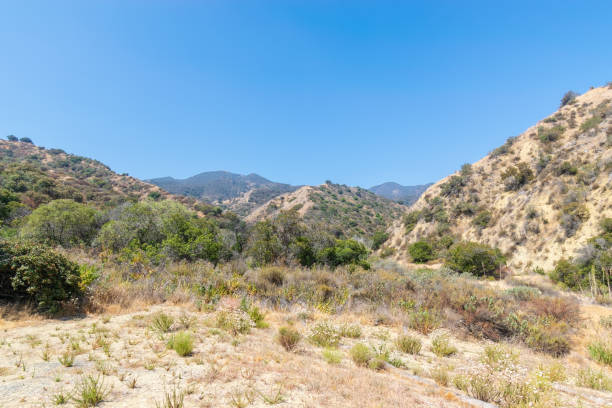 istock Morning hiking on summer day 983753224