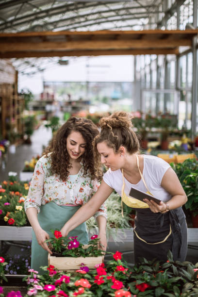 istock Sisters Working in Nursery Garden Happily 983756366