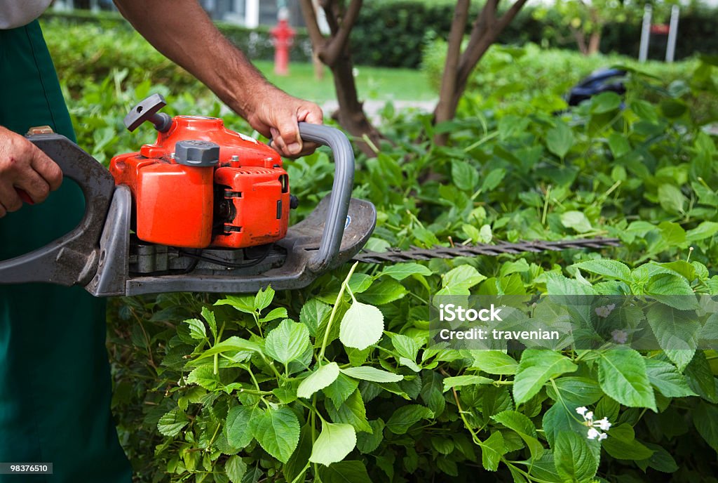 Jardineiro - Foto de stock de Folha royalty-free