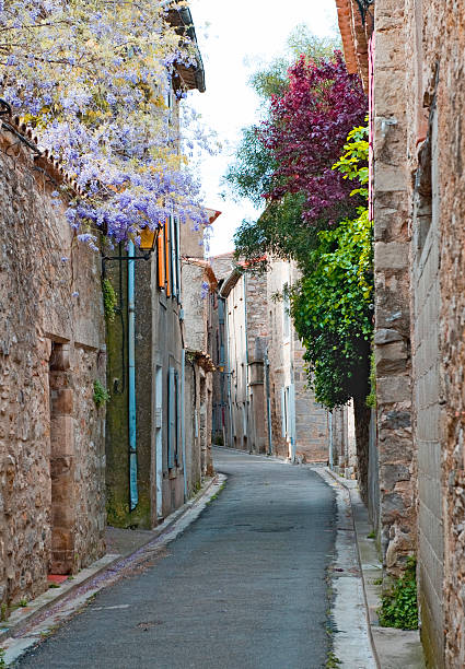 istock Side street in Lagrasse village 98376538