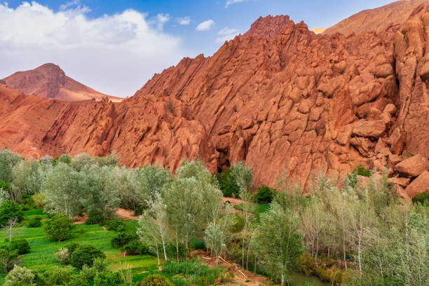 istock Geological feature - Monkey Fingers in Dades Gorge, Morocco 983765684