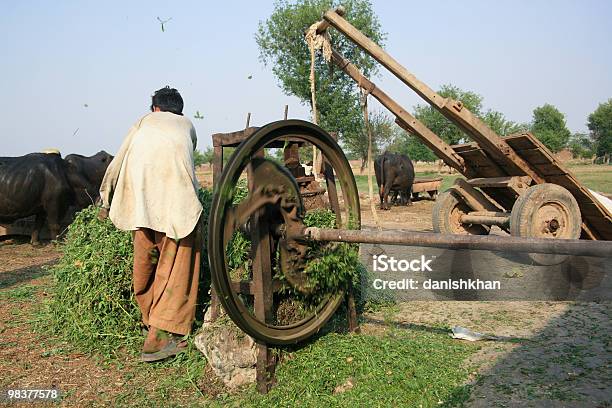 Country Life Stock Photo - Download Image Now - Adult, Africa, African Culture