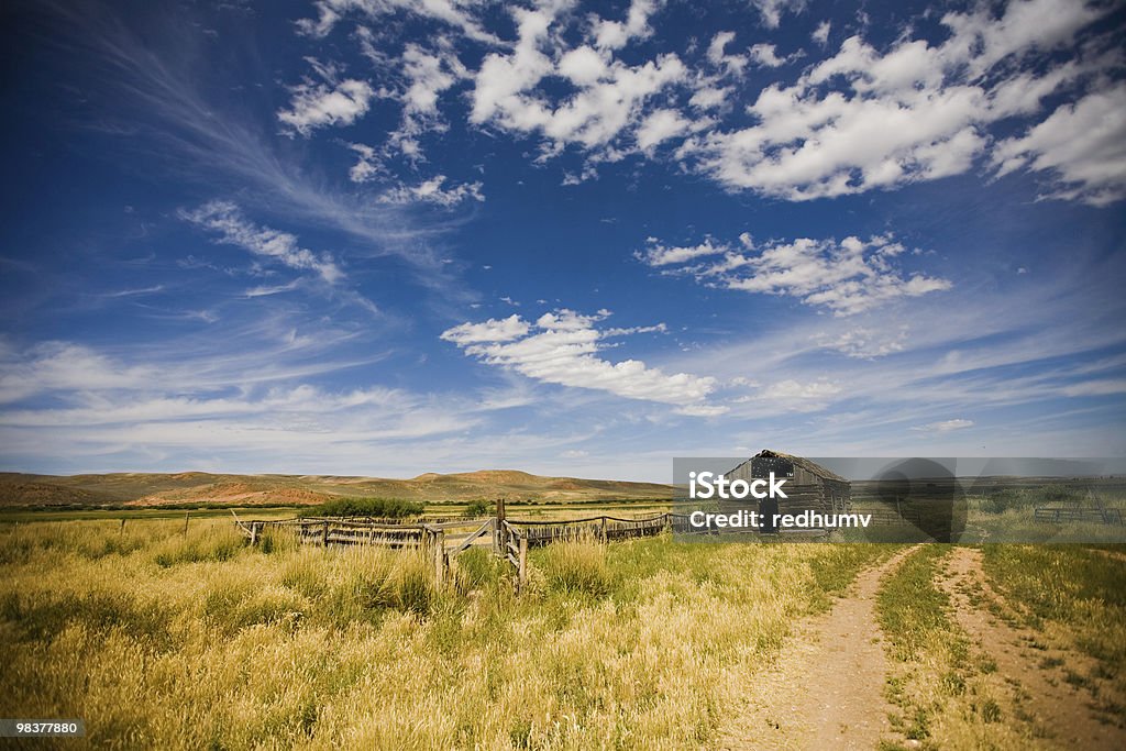 Deserto Ranch cabine - Foto de stock de Abandonado royalty-free