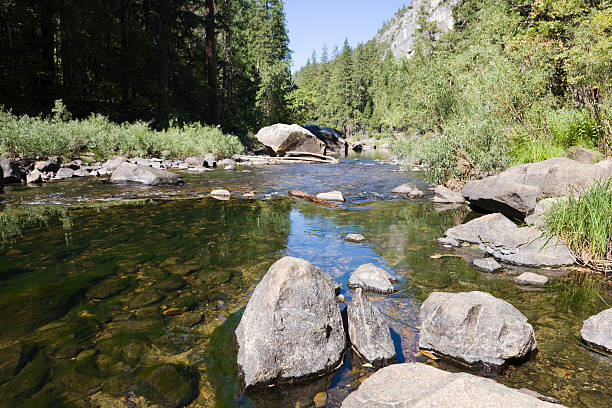 River Yosemite National Park  wildwater stock pictures, royalty-free photos & images